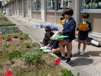 春の生き物観察